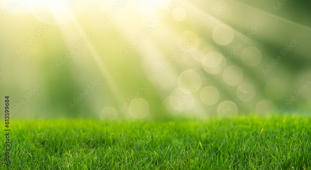 beautiful meadow with blur background in high definition