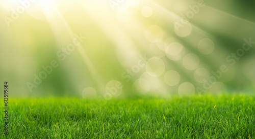 beautiful meadow with blur background in high definition