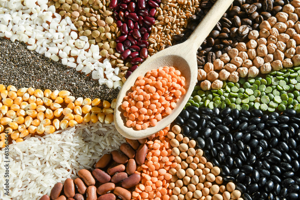 Wooden spoon with raw red lentils on various grain Wooden spoon with raw red lentils on various grain