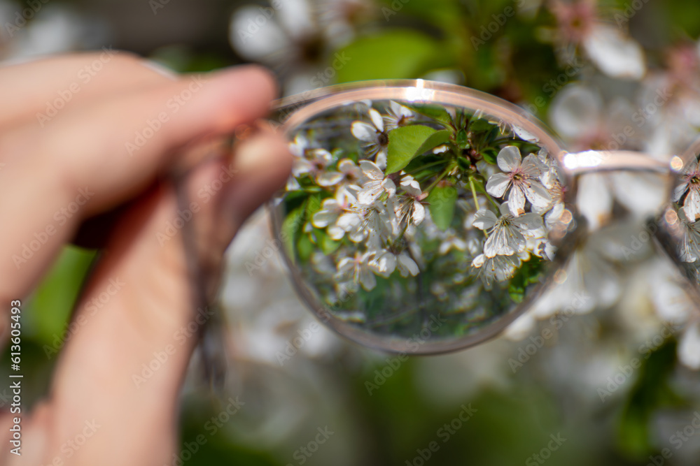 Myopia (shortsightedness) glasses in hand close-up, looking on blooming spring trees garden in focus with blurry background. Nearsighted refractive lenses outdoors in nature. 