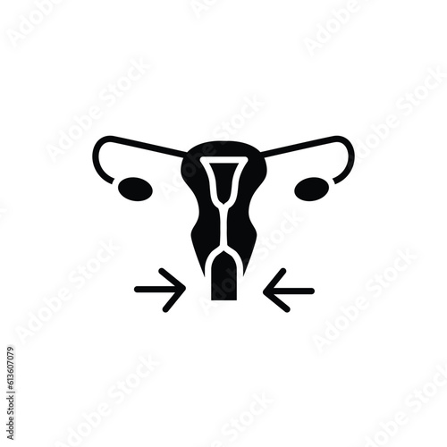 Intimate plastic female reproductive system color line icon. Outline pictogram for web page.