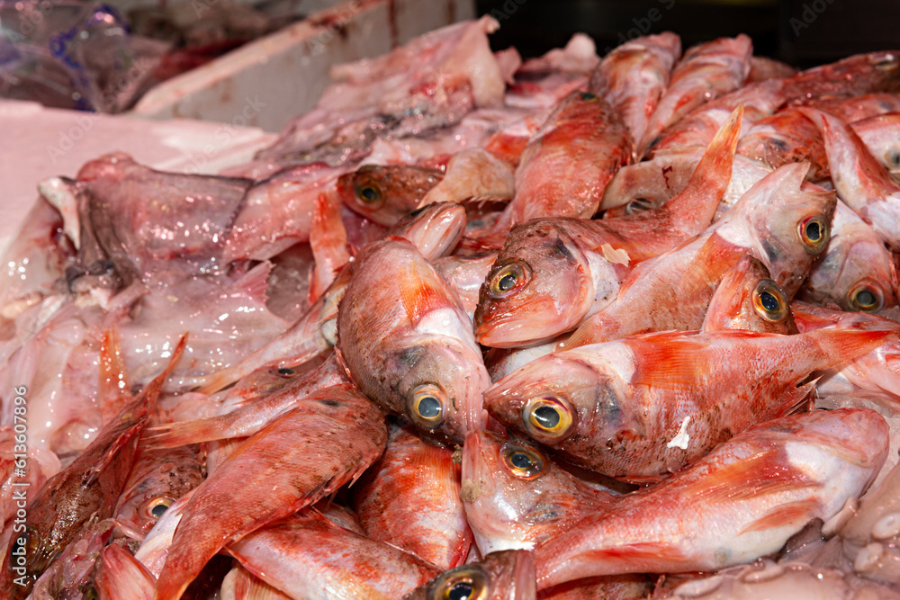 Venta de pescado fresco en puesto del mercado.