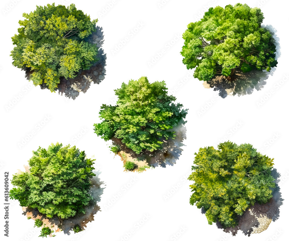 Set of watercolor green treen, top view isolated on white background. PNG transparent background. AI Generative. Set of watercolor green treen, top view isolated on white background. PNG transparent background. AI Generative.