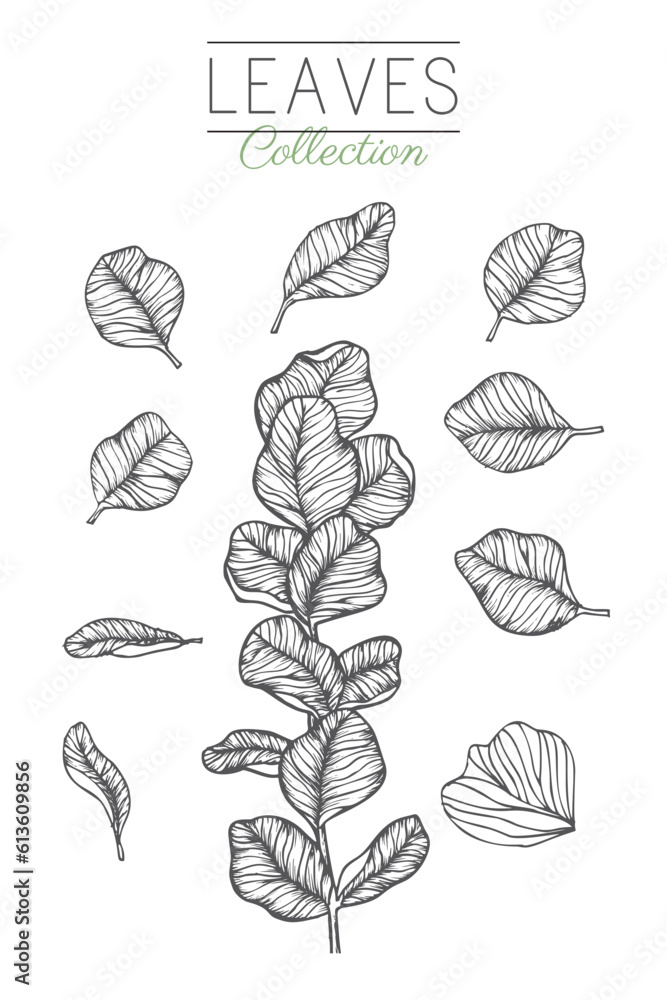 Collection of hand drawn spring flowers and plants. Monochrome vector illustrations in sketch style. Collection of hand drawn spring flowers and plants. Monochrome vector illustrations in sketch style.