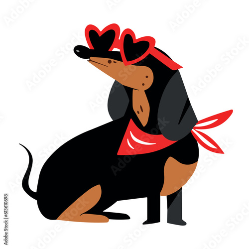 Stylish dachshund dog with sunglasses on white background