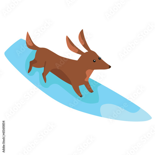 Cute dachshund dog with surfboard on white background