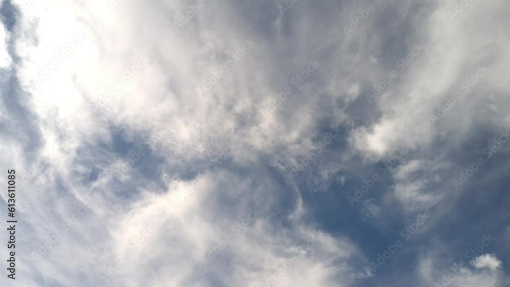 Birds flying in the morning in the sky with white clouds Birds flying in the morning in the sky with white clouds
