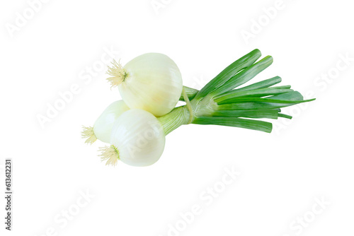 Scallions or green onions or spring onions vegetables tied bunch isolated transparent png. 
 photo