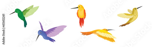 Colorful Hummingbird with Long Beak and Bright Feathers Vector Set © Happypictures