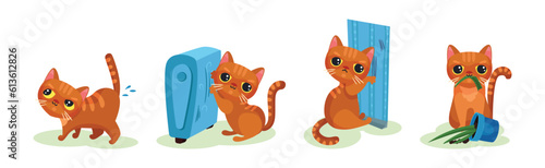 Naughty Kitten in Different Situation as Mischievous Domestic Pet Vector Set