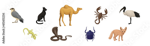Desert Living Creatures and Wild Animal Vector Set