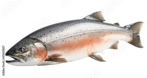 Salmon isolated on the transparent background PNG. AI generative.