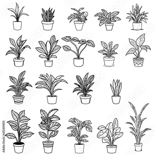 19 Pflanzen in Töpfen Symbolen Lineart | Plants in Pots Icons