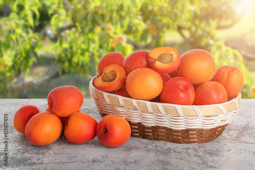 Fototapeta Naklejka Na Ścianę i Meble -  Wicker basket with ripe apricots on table outdoors