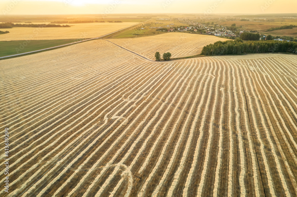 Naklejka premium aerial view of the countryside landscape with rows and a road