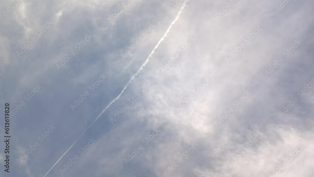 Birds flying in the morning in a sky full of blurred clouds Birds flying in the morning in a sky full of blurred clouds