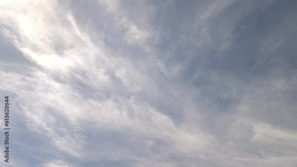 Birds flying in the morning in a sky with clouds full of light Birds flying in the morning in a sky with clouds full of light