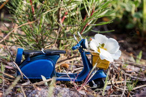 Blue Vespa with white flower