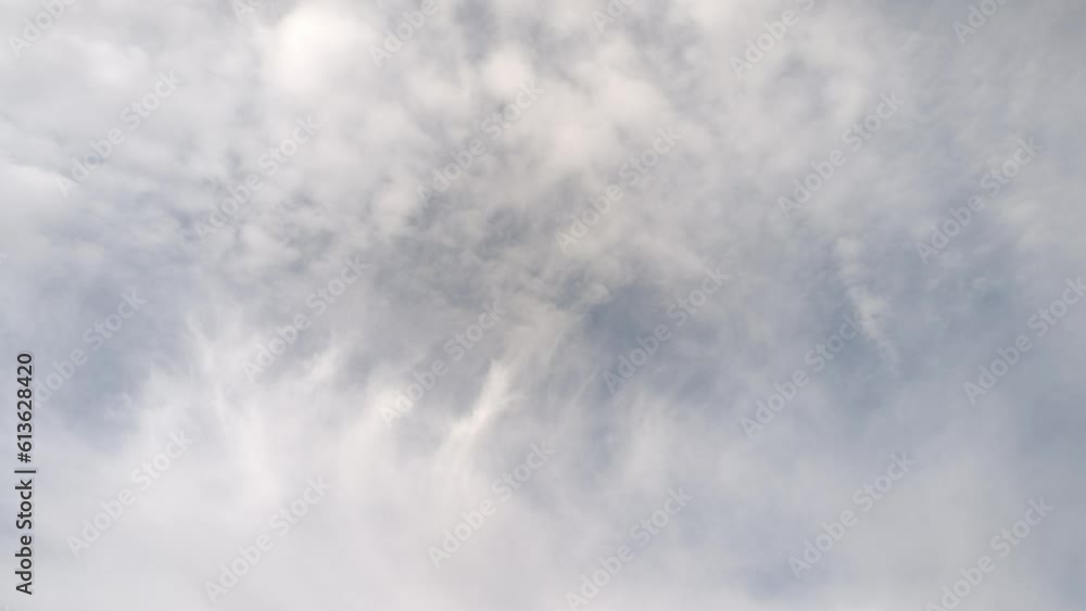 Birds flying through the sky around the cirrostratus in the morning Birds flying through the sky around the cirrostratus in the morning