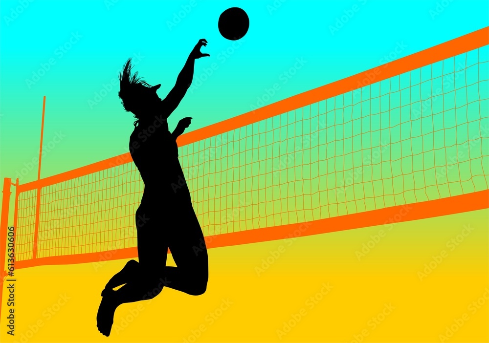 silueta voleibol Stock Illustration | Adobe Stock