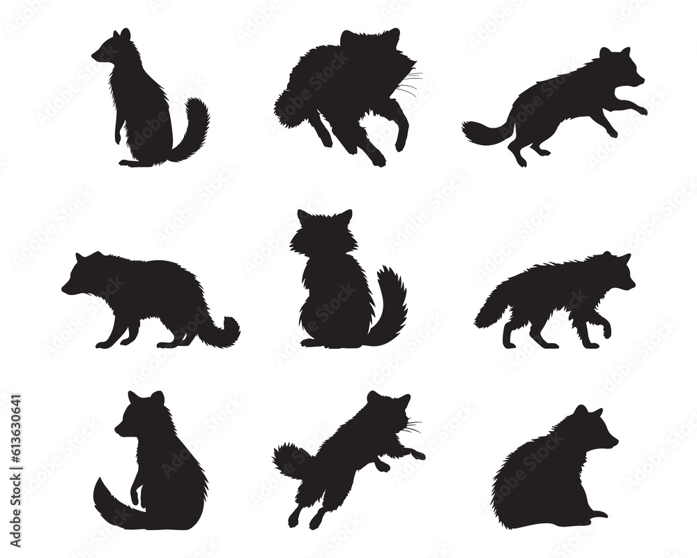 Silhouette raccoon collection - vector illustration - obrazy, fototapety, plakaty 