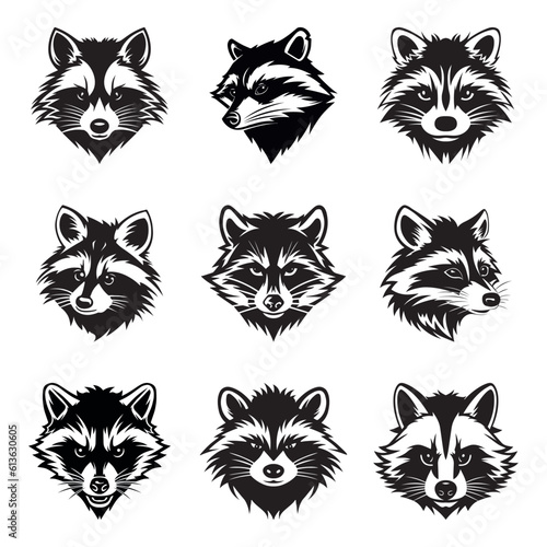 Raccoon logo set - Premium design collection - Vector Illustration