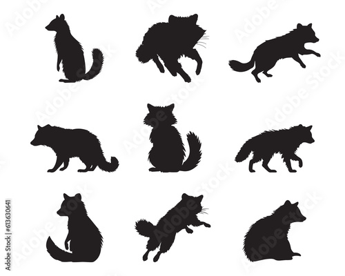 Silhouette raccoon collection - vector illustration