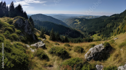 Weintrauben Panorama Hintergrund. © Kateryna