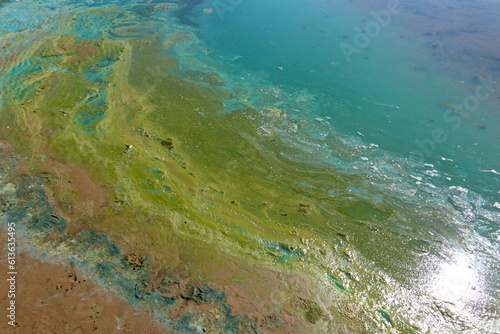 Bright blue-green algae (cyanobacteria) on water and beach sand. Close-up of a harmful algal blooms and decay. Abstract background with green toxic texture. © mivod