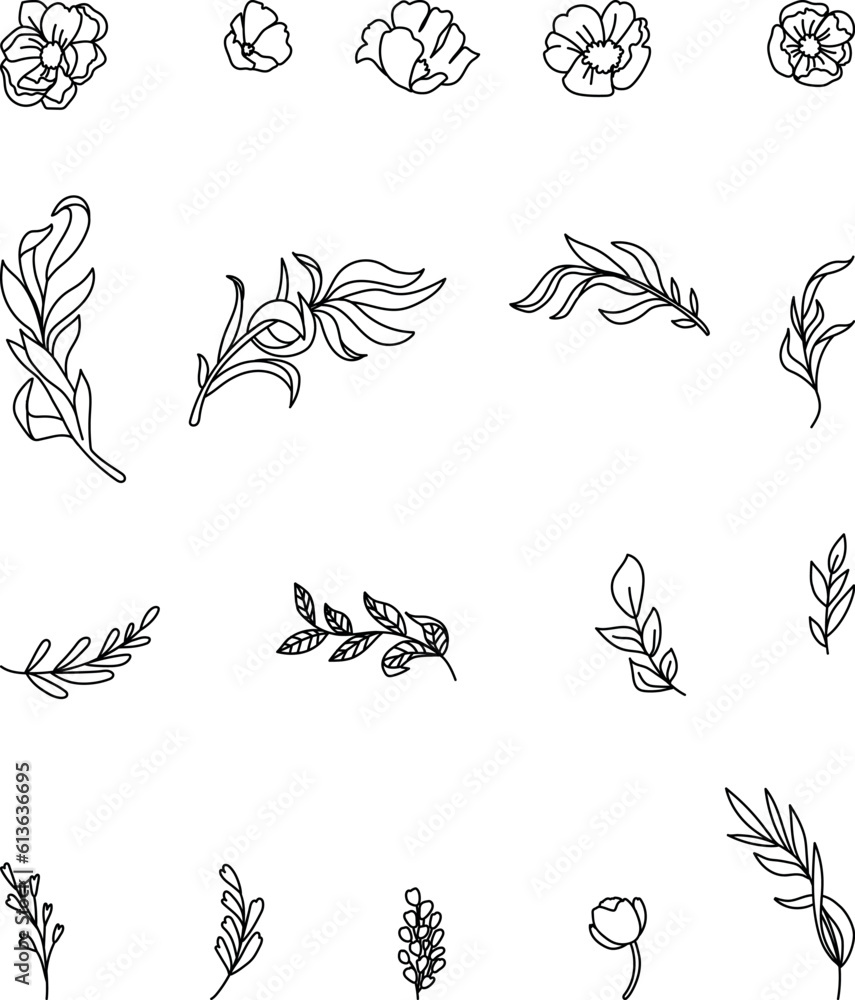 Fototapeta premium Line art botanical vector elements collection.