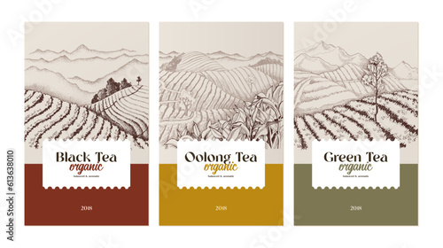 Three vintage tea labels design template
