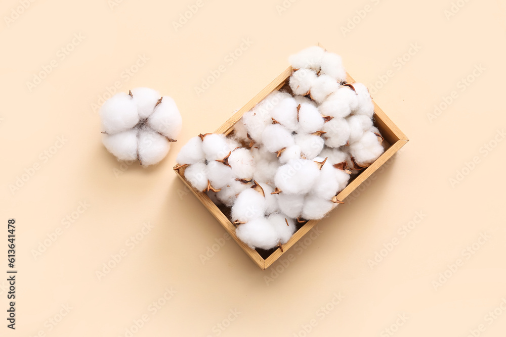 Cotton flowers in wooden crate on beige background Cotton flowers in wooden crate on beige background