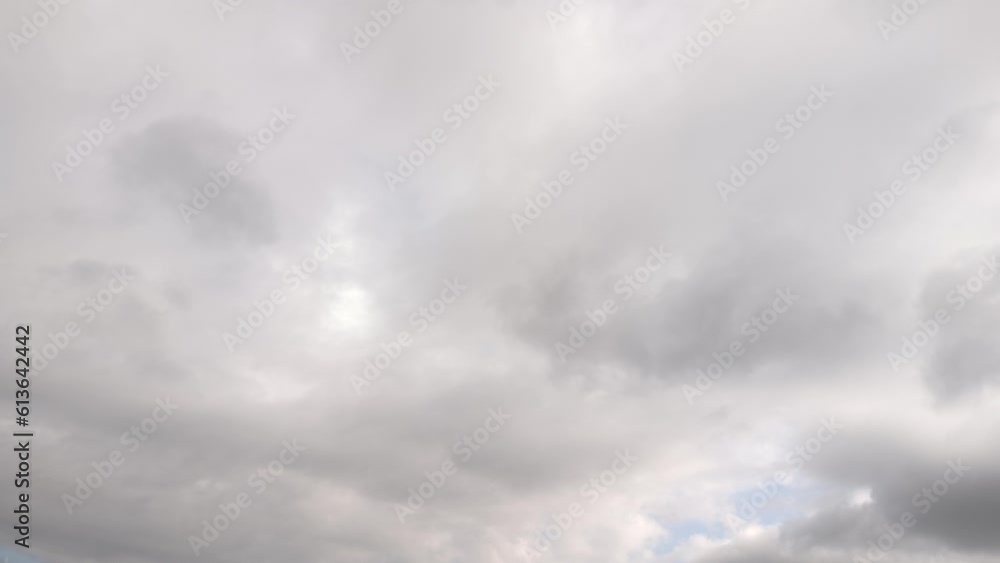 Birds flying through the sky in the noon Birds flying through the sky in the noon