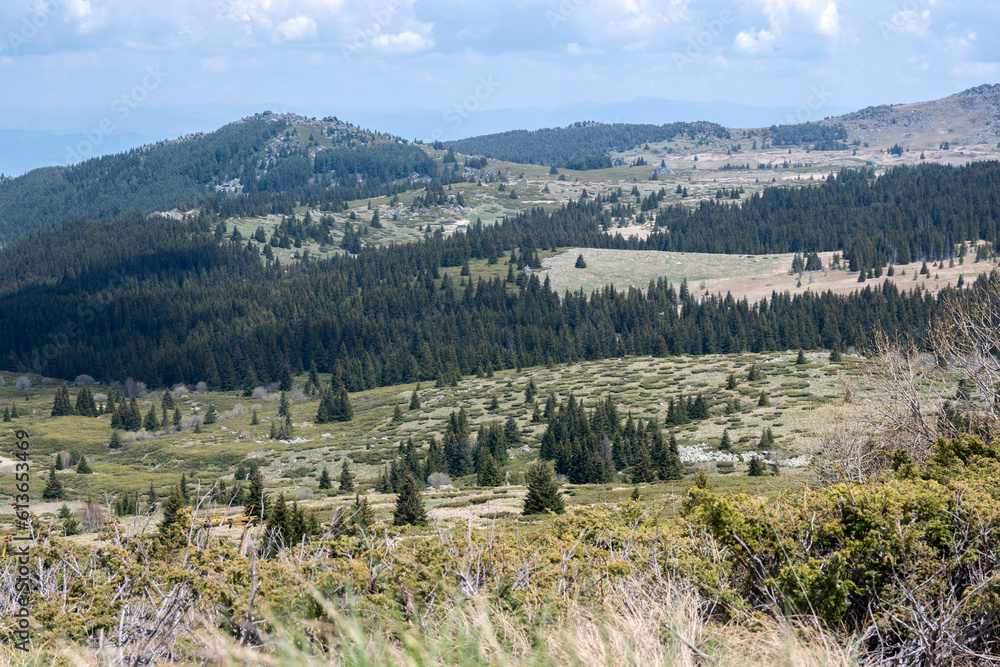 Spring view of Konyarnika area at Vitosha Mountain, Bulgaria