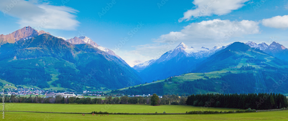 Alps mountains tranquil country summer panorama (Austria).