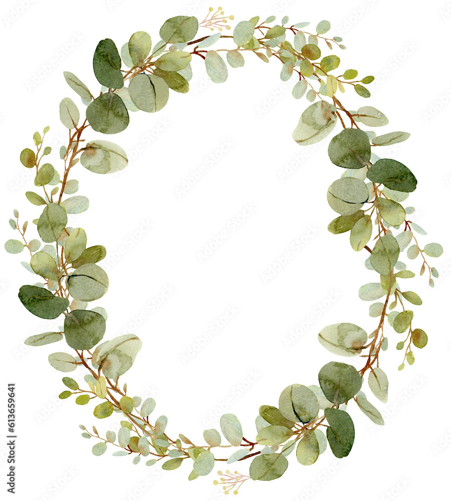 Fototapeta premium Rustic green Eucalyptus foliage design compositions