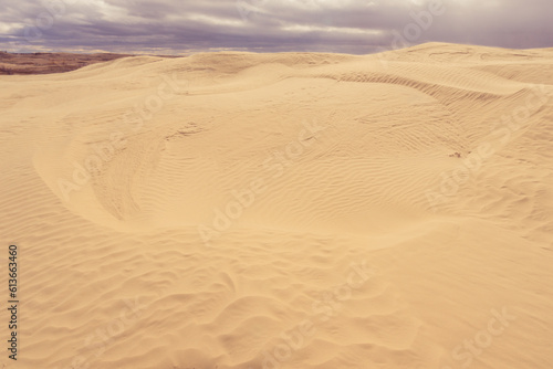 Textured sandy landscape of Sandhills Ecological Reserve