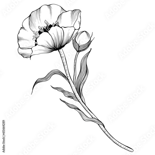 Adult Coloring Book Page with Flower. Black and White vector illustration. Doodle, hand-drawn, zentangle.