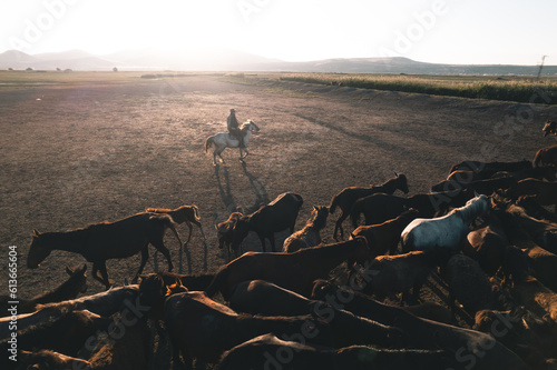 Cowboy is herdng wild horses during sunset with copy soace.