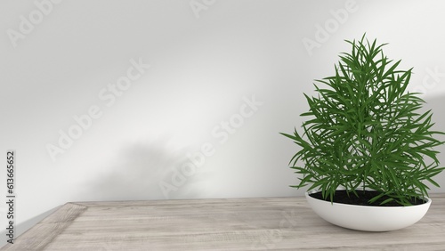 Fototapeta Naklejka Na Ścianę i Meble -  wooden table looking decorated with plants in a vase, for luxury product display, interior design decoration background 3D rendering