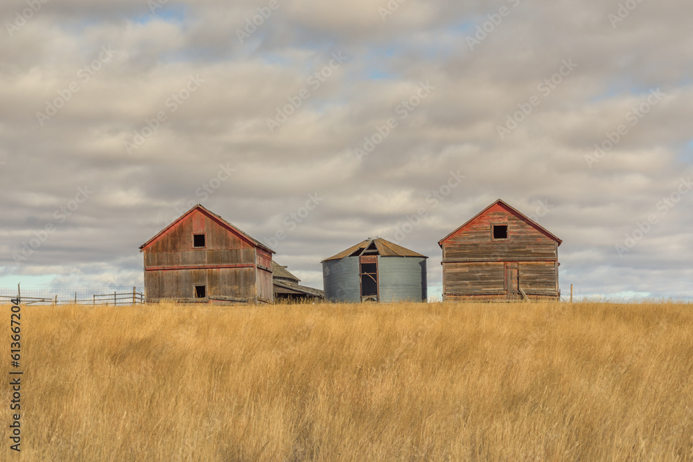 Abandoned farm buildings and grain silo under the cloudy sky in the prairie Abandoned farm buildings and grain silo under the cloudy sky in the prairie