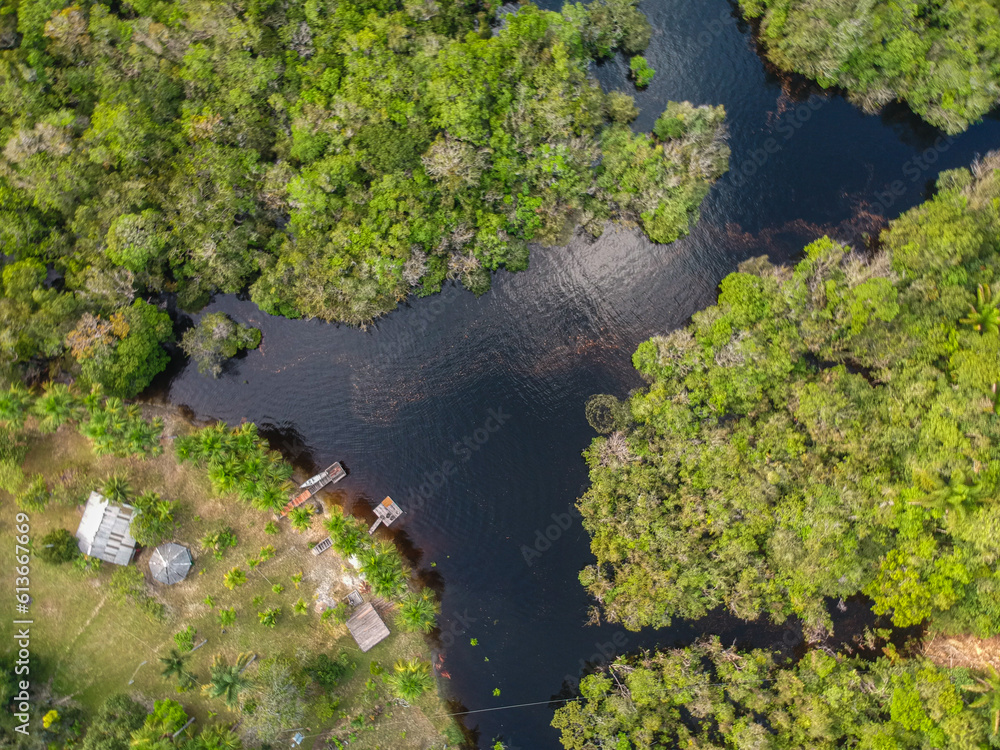 Aerial view of the Amazon Rainforest in Brazil Aerial view of the Amazon Rainforest in Brazil