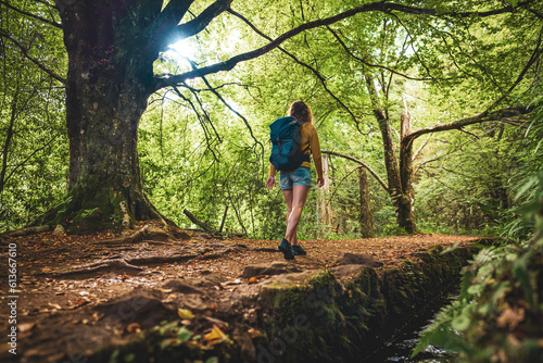 Backpacker woman walks next to canal through Madeiran rainforest on the hiking trail in the morning. Levada of Caldeirão Verde, Madeira Island, Portugal, Europe. photo
