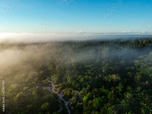 Aerial view of the Amazon Rainforest in Brazil © phaelshoots