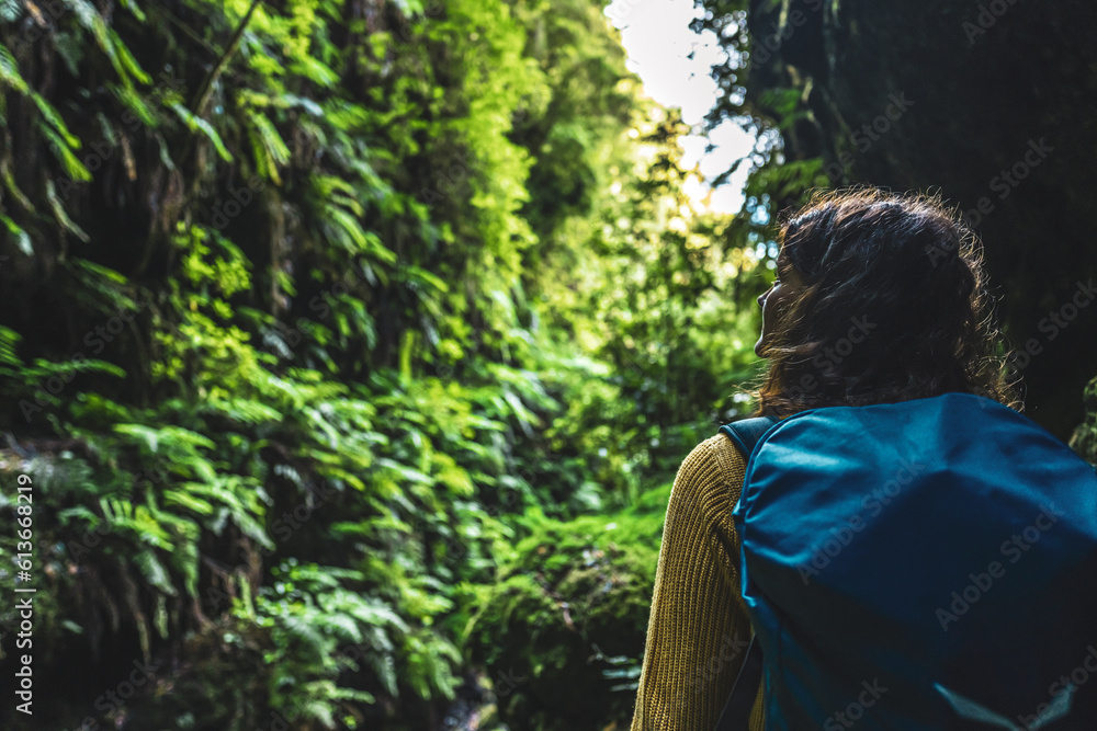 Tourist woman walks through Madeiran rainforest on a fern covered gorge in the morning. Levada of Caldeirão Verde, Madeira Island, Portugal, Europe. Tourist woman walks through Madeiran rainforest on a fern covered gorge in the morning. Levada of Caldeirão Verde, Madeira Island, Portugal, Europe.