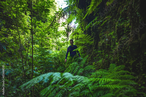 Tourist man walks through Madeiran rainforest on a fern covered gorge in the morning. Levada of Caldeir  o Verde  Madeira Island  Portugal  Europe.