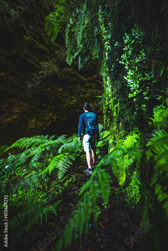 Atlhletic backpacker man walking on a fern covered gorge with old bridge somewhere in Madeiran rainforest in the morning. Levada of Caldeirão Verde, Madeira Island, Portugal, Europe.