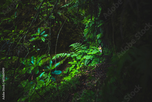 Atlhletic tourist woman walking on a fern covered gorge with old bridge somewhere in Madeiran rainforest in the morning. Levada of Caldeir  o Verde  Madeira Island  Portugal  Europe.