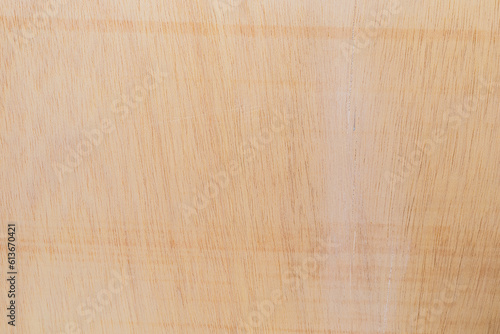 Принти на полотні Light rough textured cut surface of an African tree