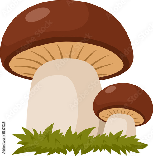 Two mushrooms in the grass. Forest mushrooms isolated on white background.